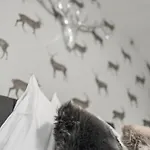 Inn Underground Atelier Innsbruck